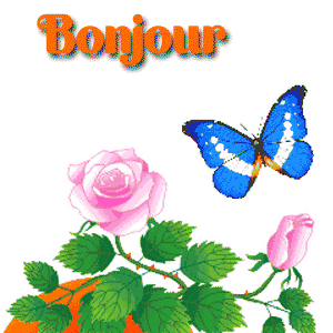 Gif animé bonjour levé de soleil et roses
